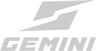 Gemini Shoes
